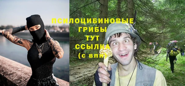 винт Осинники