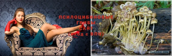 ешки Остров
