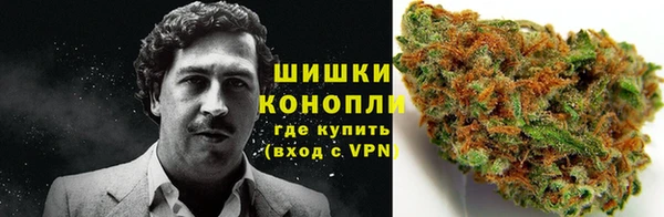 винт Осинники
