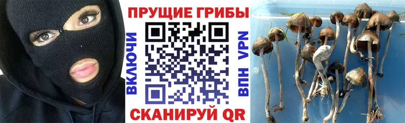Галлюциногенные грибы ЛСД  Купить где  Ардон 